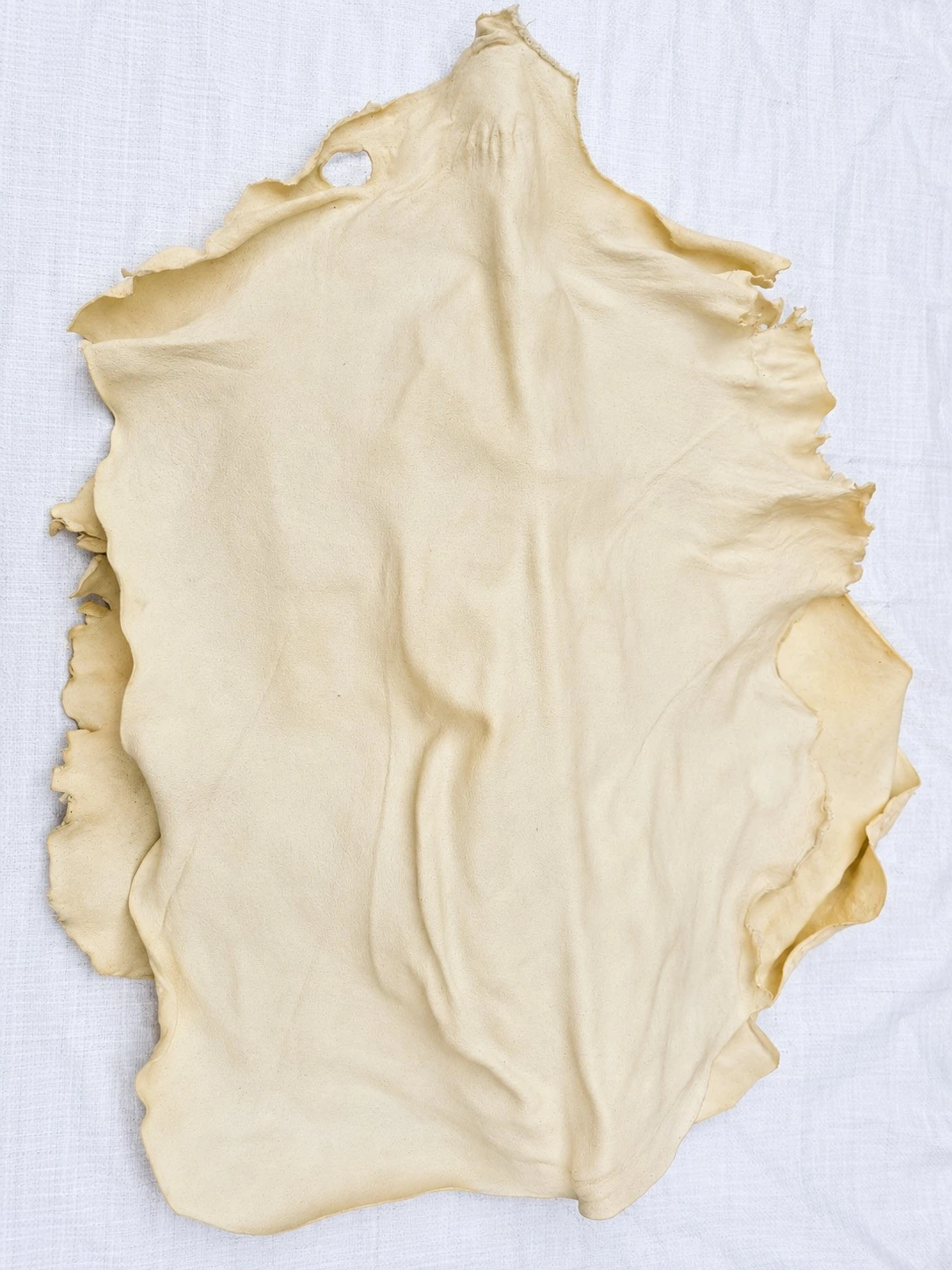 Buffalo Chew Parchment Leather